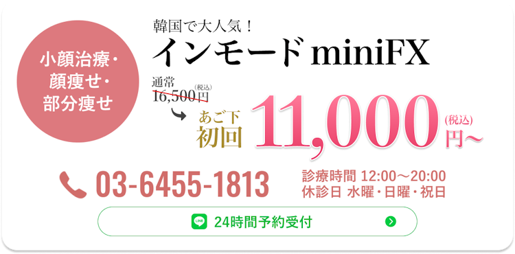 インモードminiFX 初回(税込)11000円~