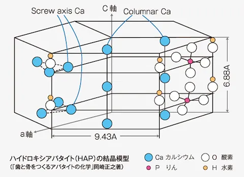 ハイドロキシアパタイト構造